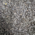 Black Sunflower Seeds