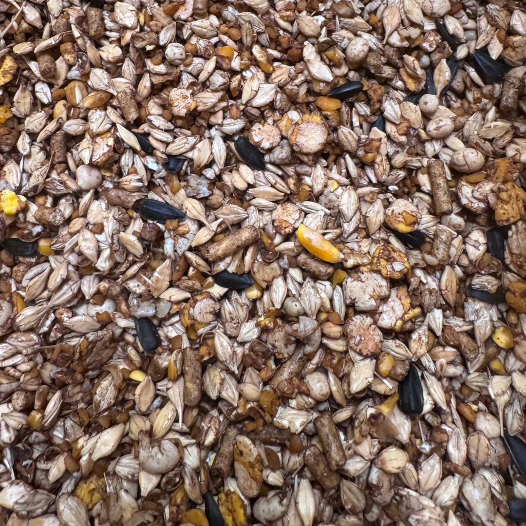 Complete Horse Diet (No Oats)