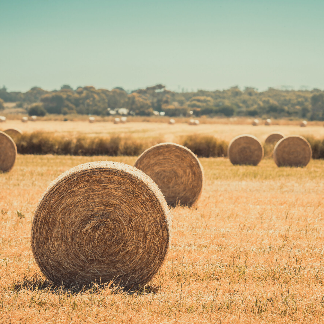 Hay Roll
