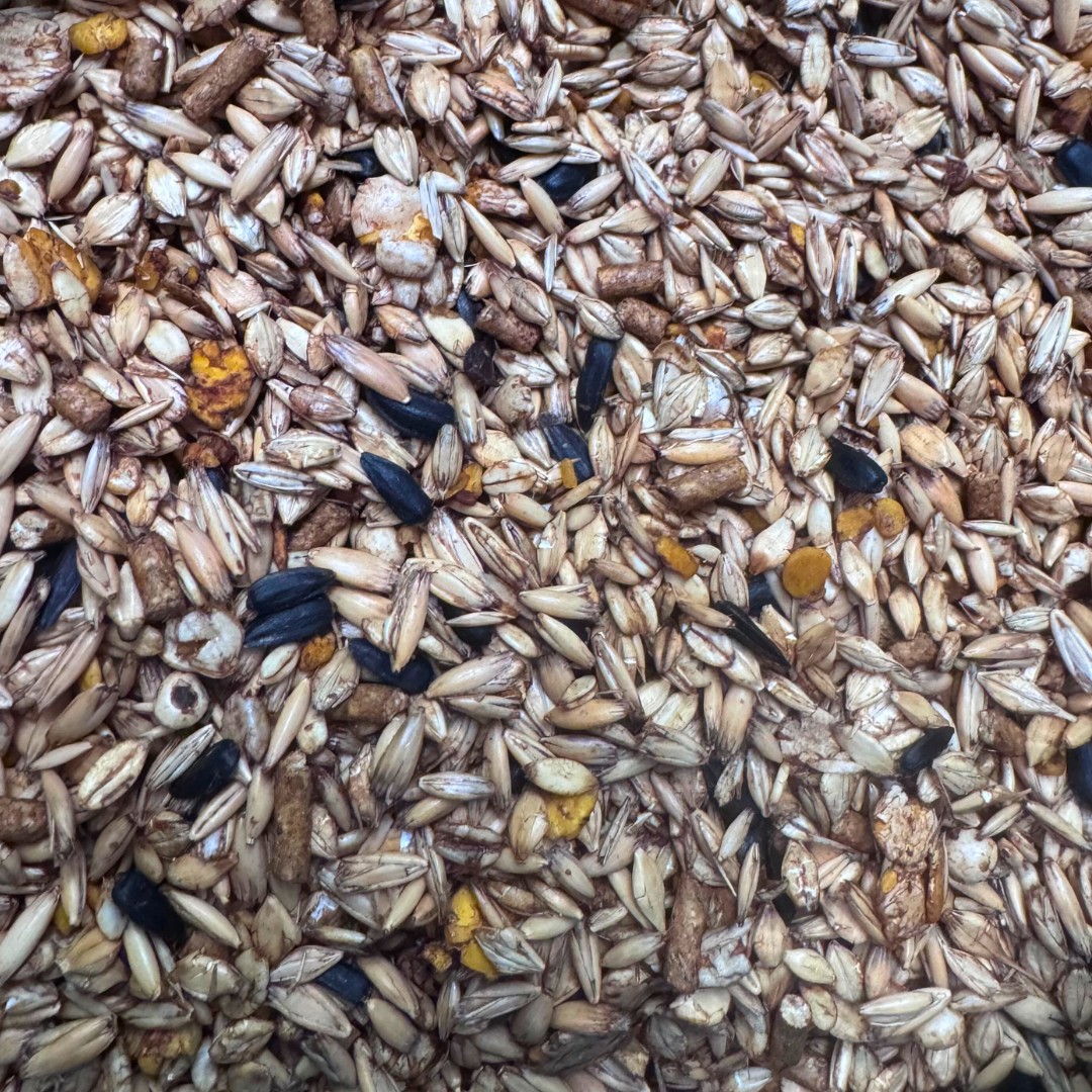 Horse Muesli