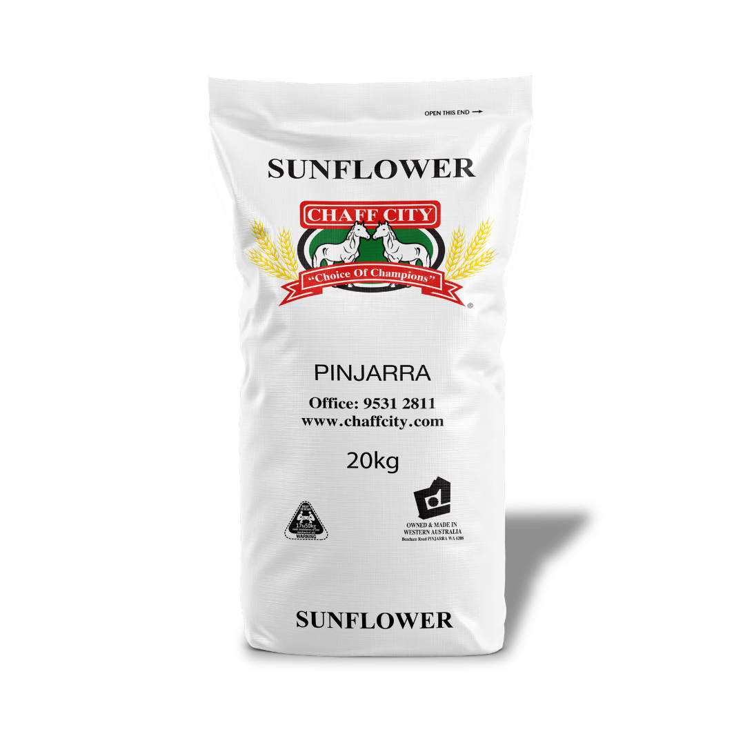 Black Sunflower Seeds