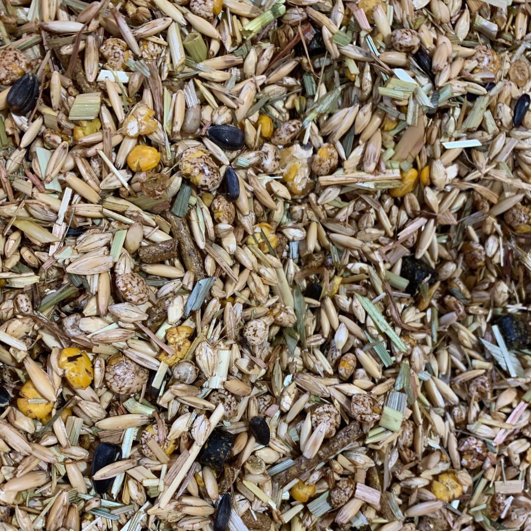 Chill Horse Muesli