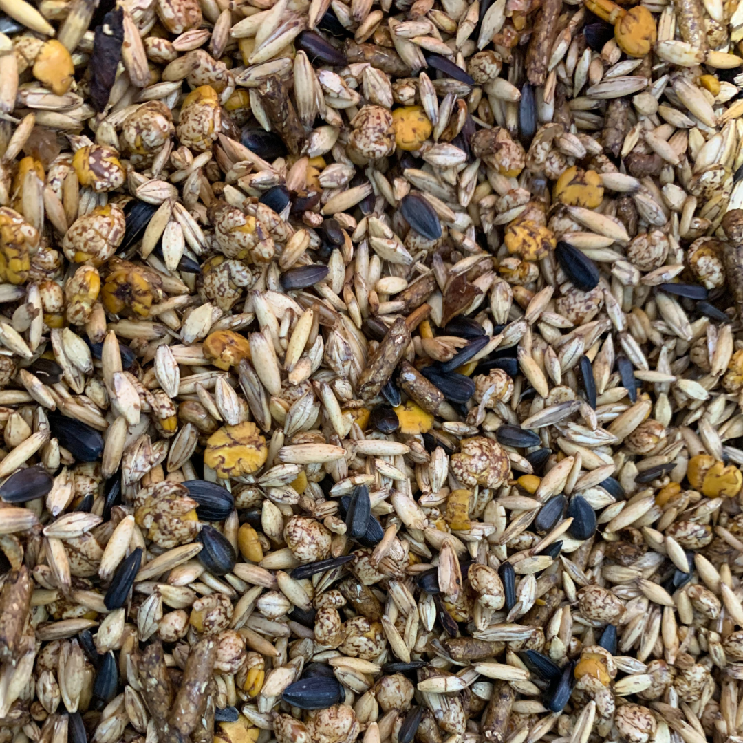Sustain Horse Muesli