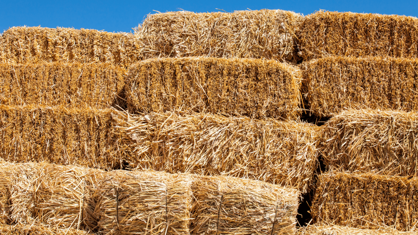 Hay Bale