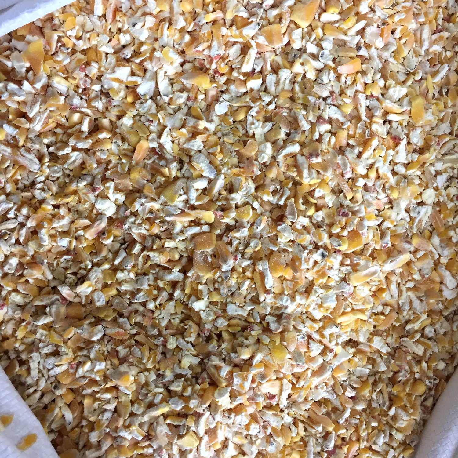 Crushed Maize